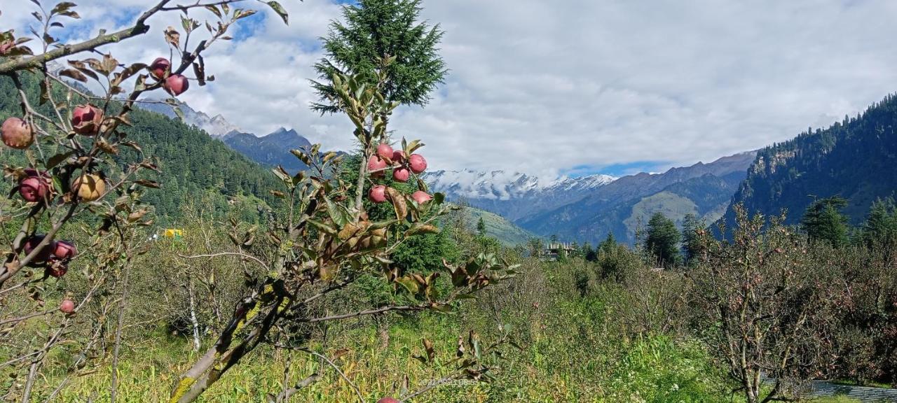 Apple Flower With Balcony And Mountain View Manāli Dış mekan fotoğraf