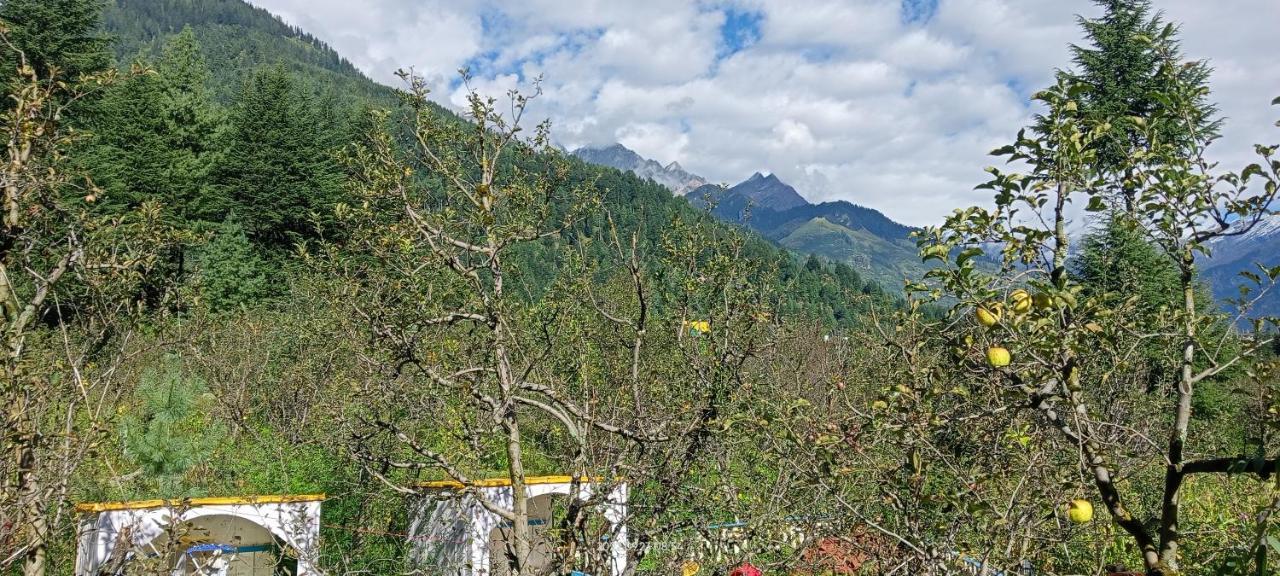Apple Flower With Balcony And Mountain View Manāli Dış mekan fotoğraf